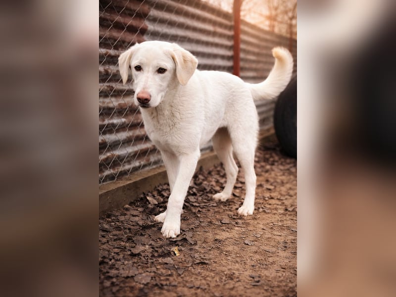 Cuki - darf ich bei dir sein ?