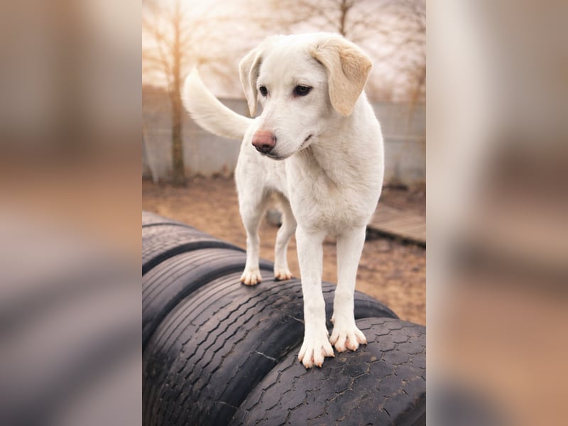 Cuki ist bereit für ihr neues Leben