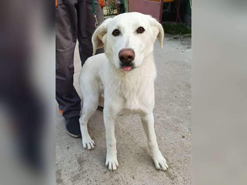 Cuki - darf ich bei dir sein ?