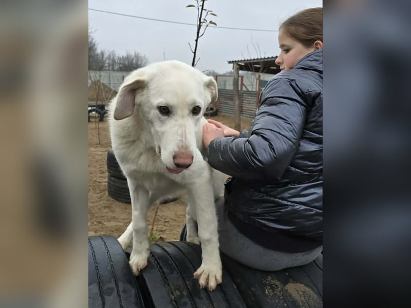Cuki - darf ich bei dir sein ?