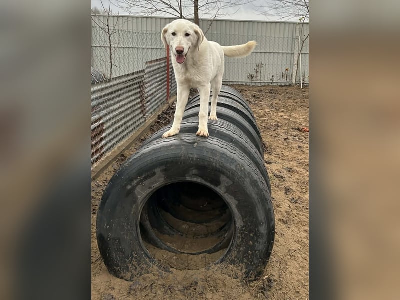 schöne Cuki sucht ihr Körbchen