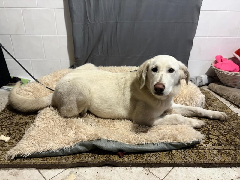 Cuki - darf ich bei dir sein ?