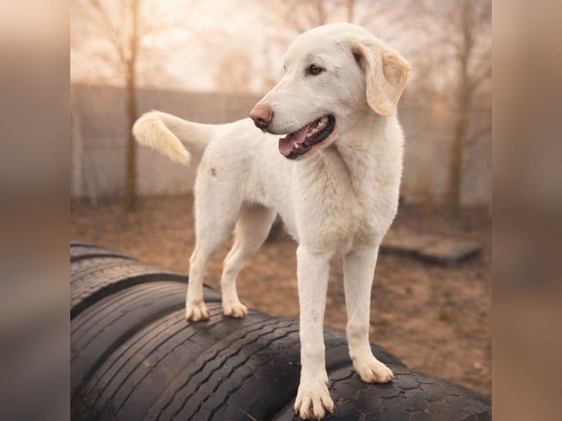 Cuki ist bereit für ihr neues Leben