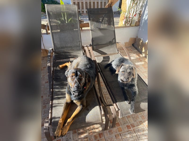 MORITA - sucht ihre(n) Lebensbegleiter