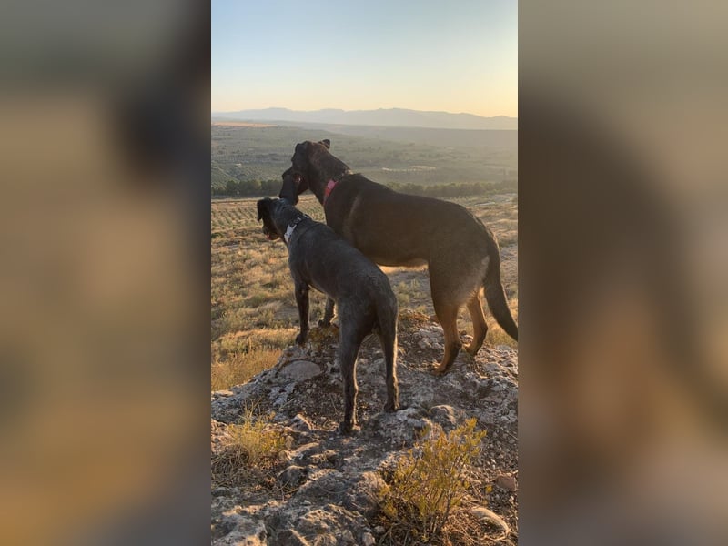 MORITA - sucht ihre(n) Lebensbegleiter