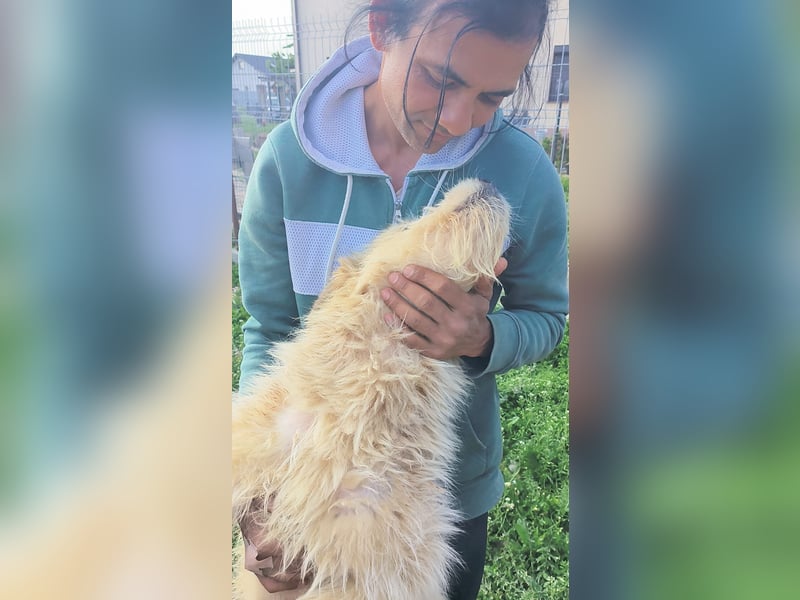 VIAȚĂ - sucht ihren Platz für's Leben ...