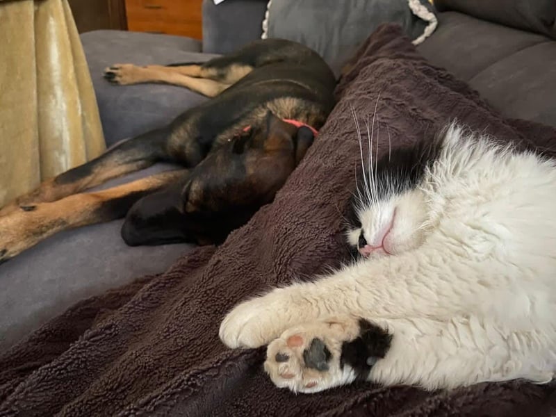 MORITA - sucht ihre(n) Lebensbegleiter