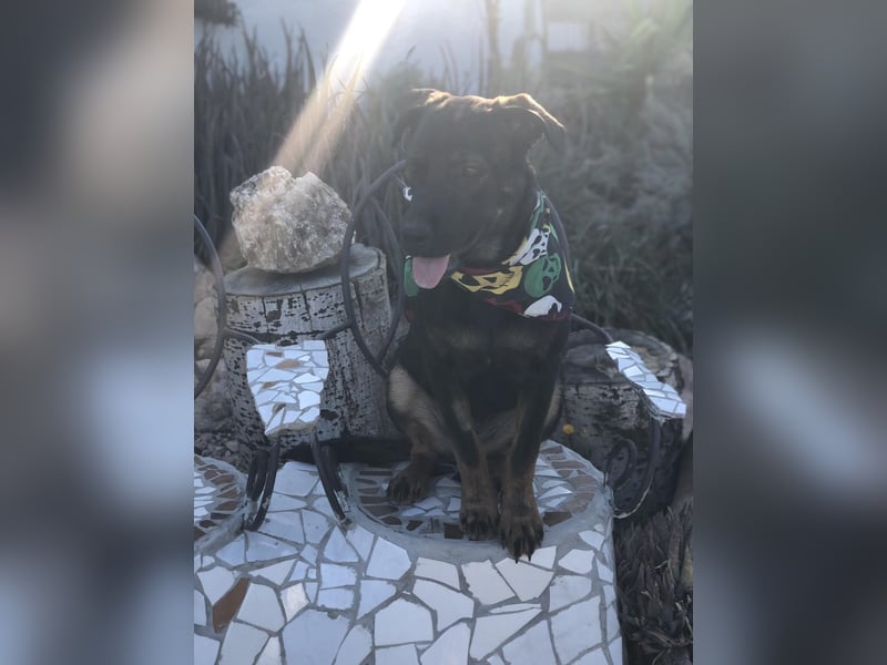 MORITA - sucht ihre(n) Lebensbegleiter