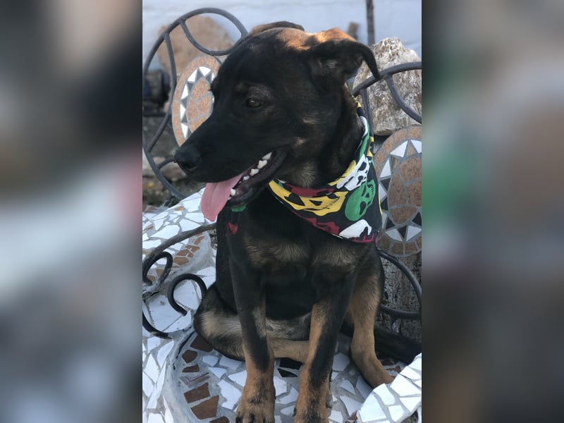 MORITA - sucht ihre(n) Lebensbegleiter