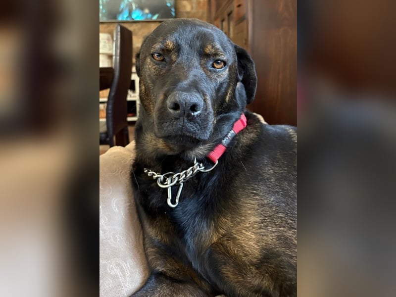 MORITA - sucht ihre(n) Lebensbegleiter