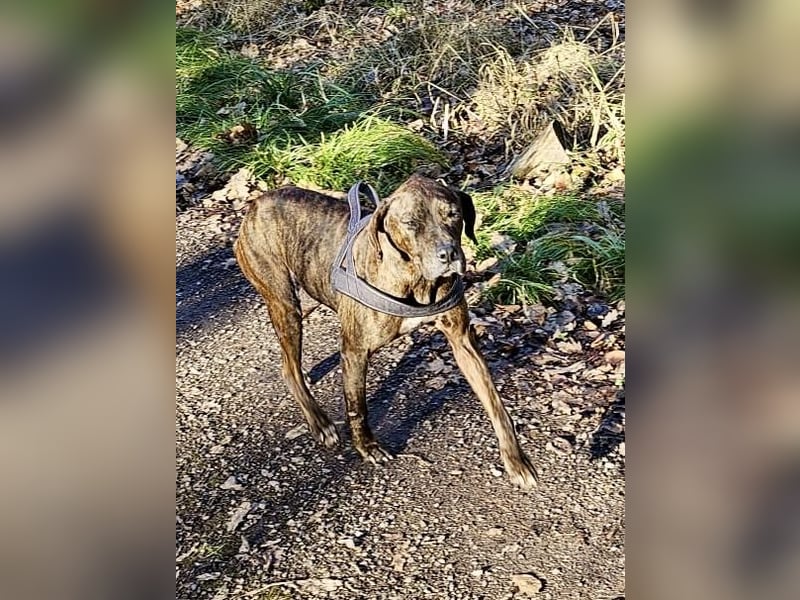 Jadviga, freundliche Seniorin sucht Traumzuhause