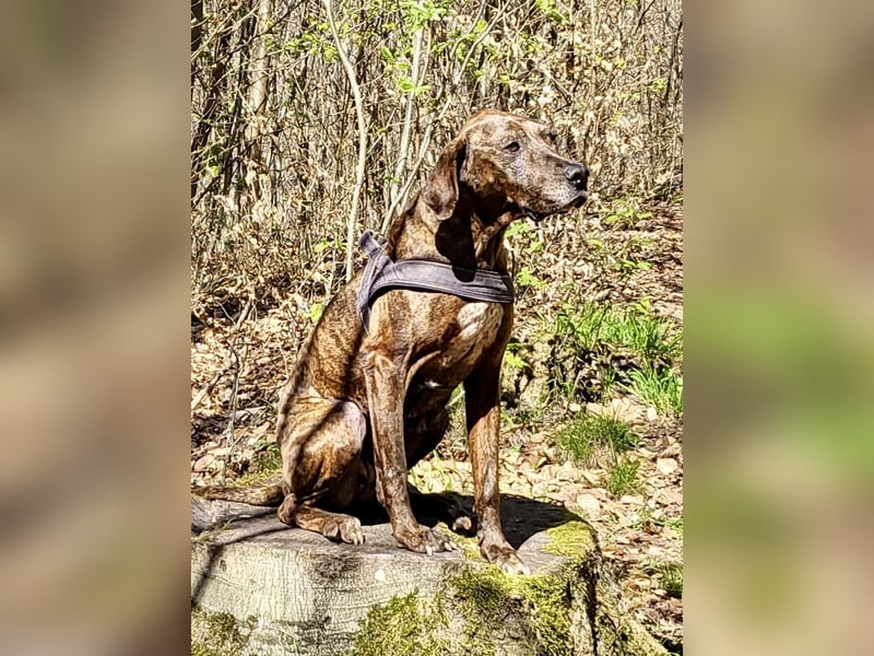 Jadviga, freundliche Seniorin sucht Traumzuhause