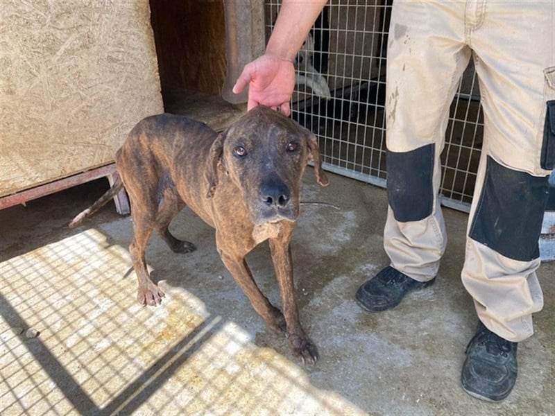 Jadviga, freundliche Seniorin sucht Traumzuhause