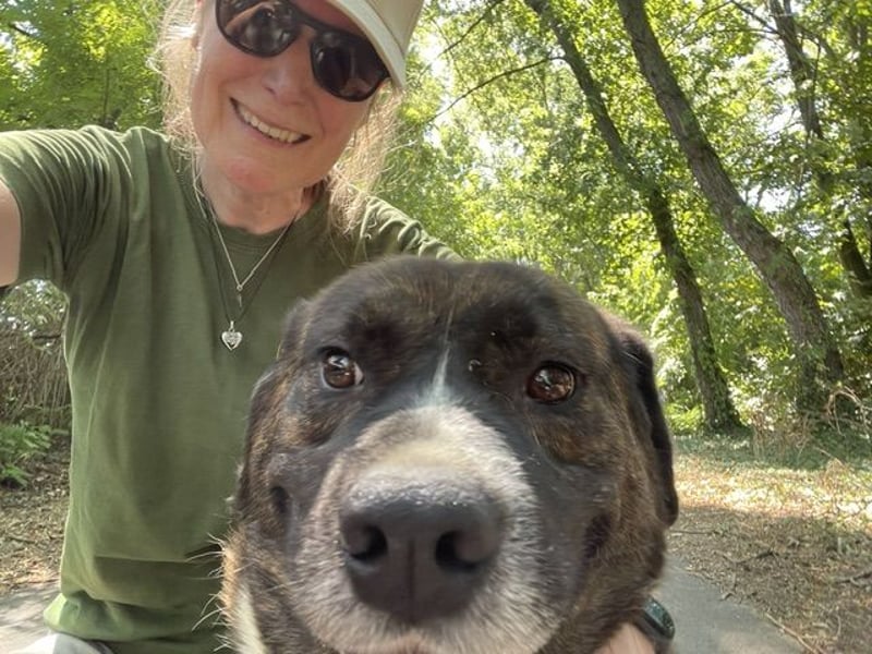 Bambo, unser Sonnenschein liebt den Kontakt zu Menschen