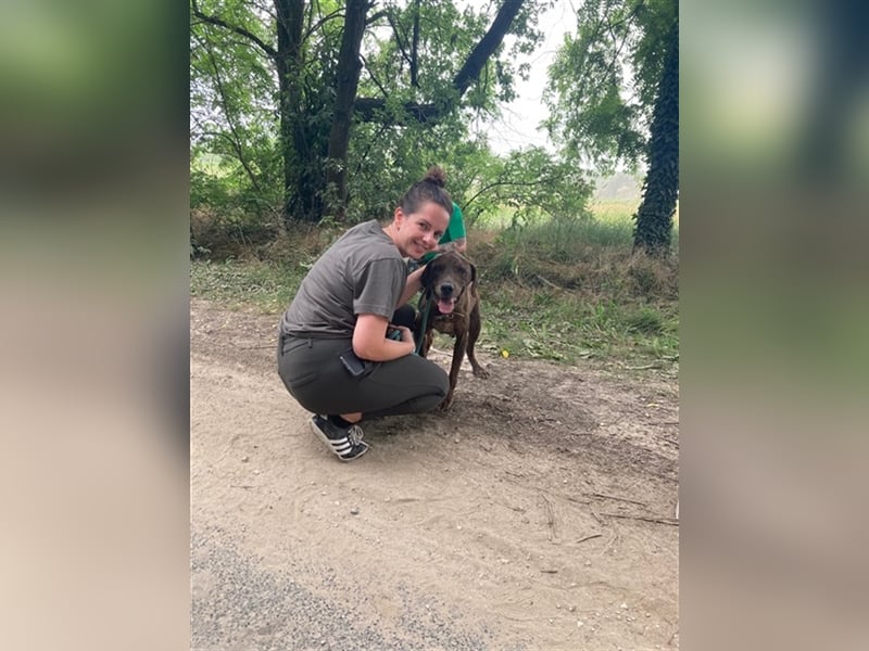 Jadviga, freundliche Seniorin sucht Traumzuhause