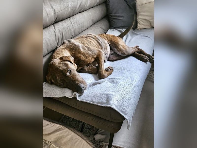 Jadviga, freundliche Seniorin sucht Traumzuhause