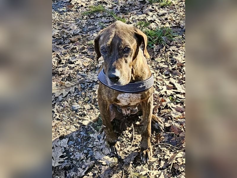 Jadviga, freundliche Seniorin sucht Traumzuhause