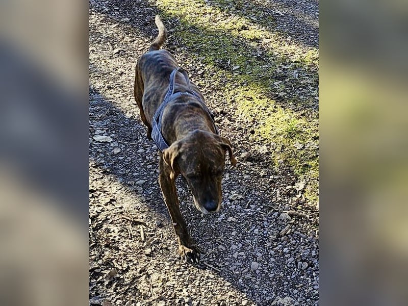 Jadviga, freundliche Seniorin sucht Traumzuhause