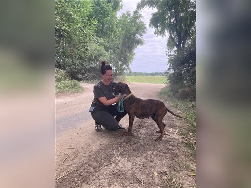 Jadviga, freundliche Seniorin sucht Traumzuhause