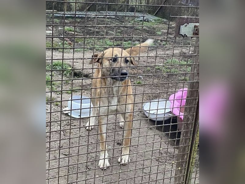 Pötyi2 verteilt gerne Küsschen