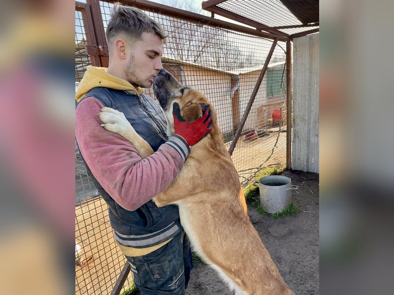 Pötyi2 verteilt gerne Küsschen