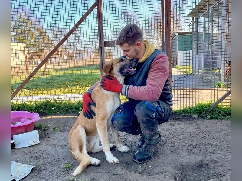 Pötyi2 verteilt gerne Küsschen