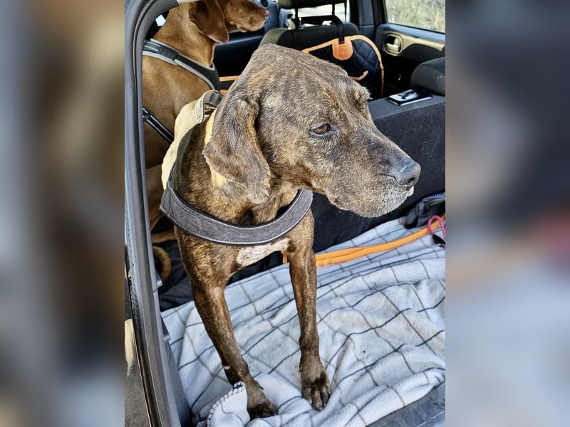 Jadviga, freundliche Seniorin sucht Traumzuhause