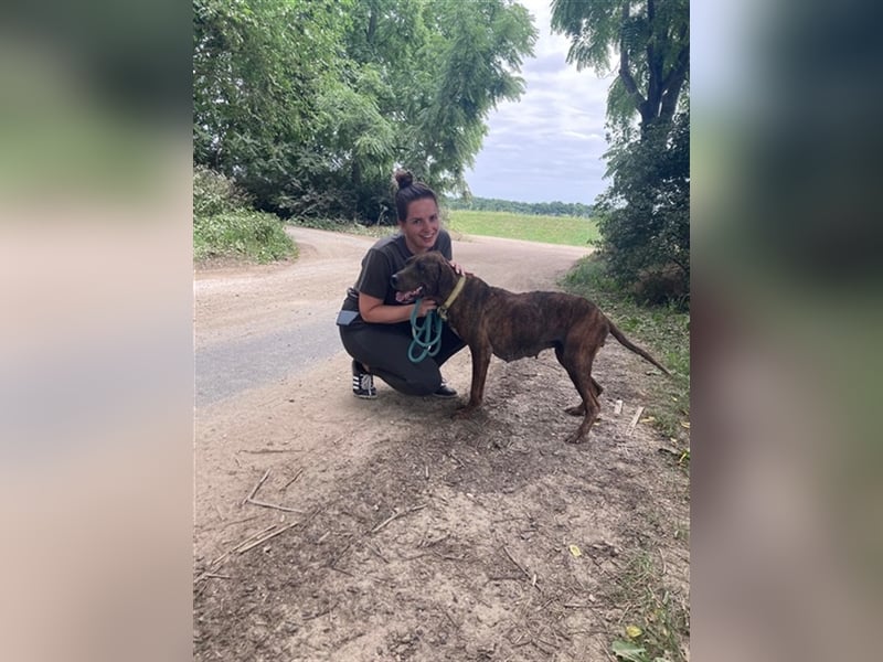 Jadviga, freundliche Seniorin sucht Traumzuhause