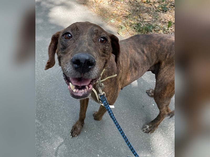 Jadviga, freundliche Seniorin sucht Traumzuhause