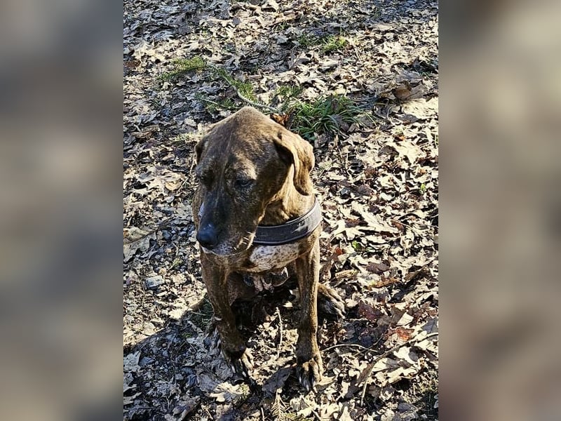 Jadviga, freundliche Seniorin sucht Traumzuhause