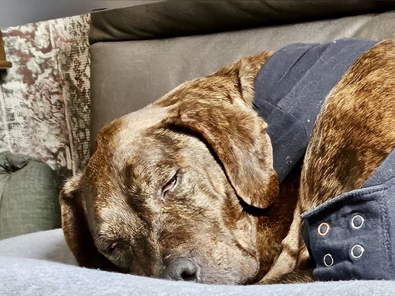 Jadviga, freundliche Seniorin sucht Traumzuhause