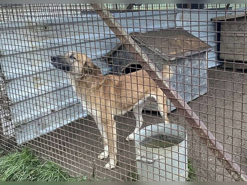 Pötyi2 verteilt gerne Küsschen
