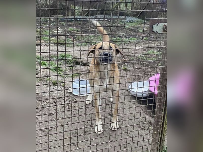 Pötyi2 verteilt gerne Küsschen