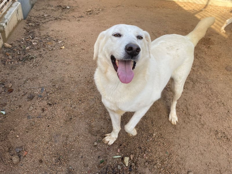 TORBATA - schön & groß