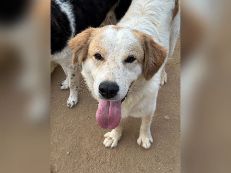 ELIOS - bildschön & menschenbezogen