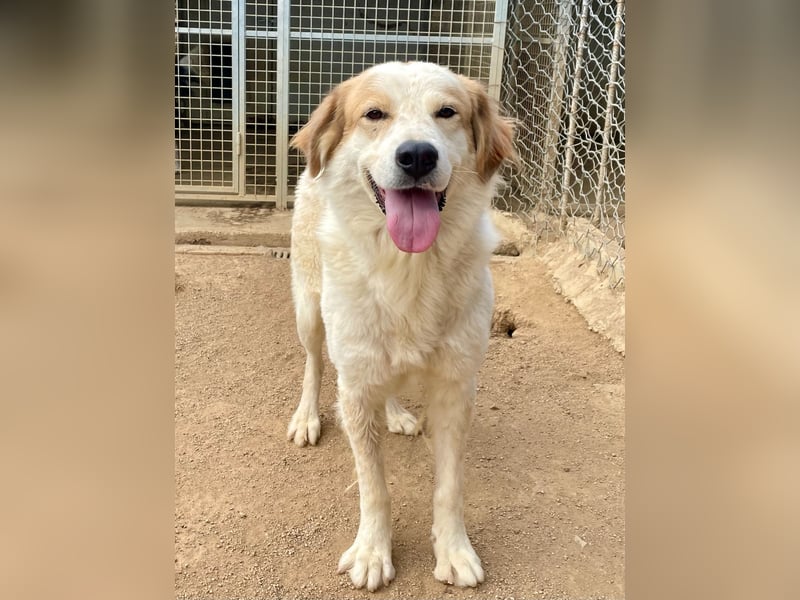 ELIOS - bildschön & menschenbezogen