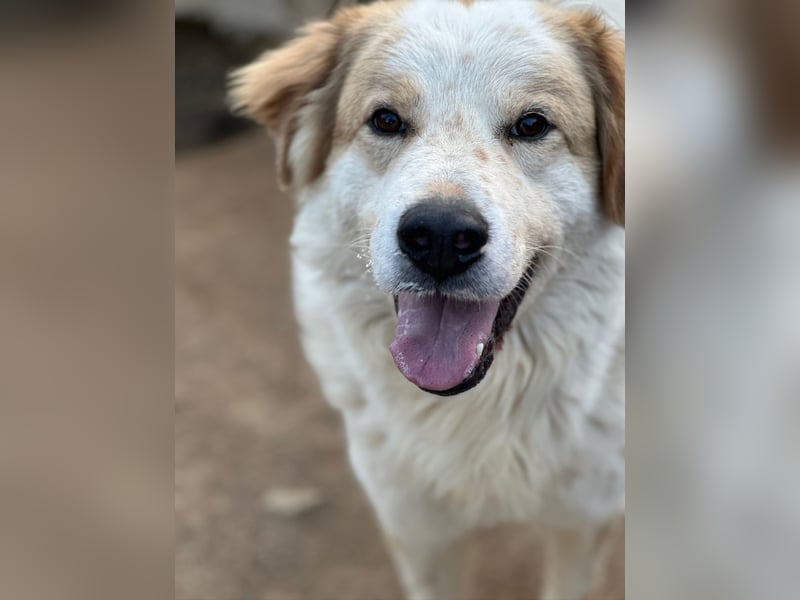 ELIOS - bildschön & menschenbezogen