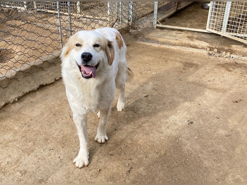 ELIOS - bildschön & menschenbezogen