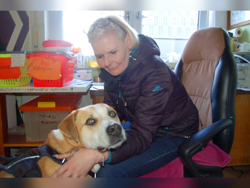 Lounis - großer Kuschelbär - Tierhilfe Franken e.V.