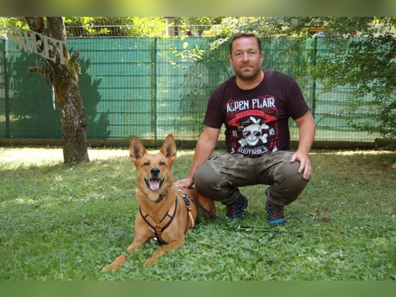 Red Teddy - mag Menschen, Spielen und Spazierengehen - Tierhilfe Franken e.V.