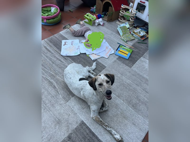 Pina sucht ihre Familie