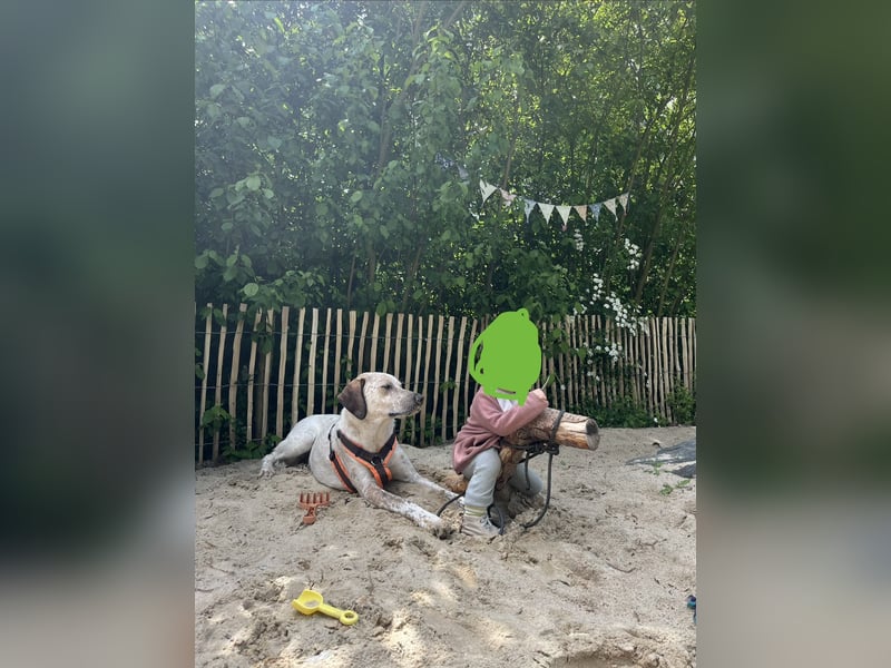 Pina sucht ihre Familie