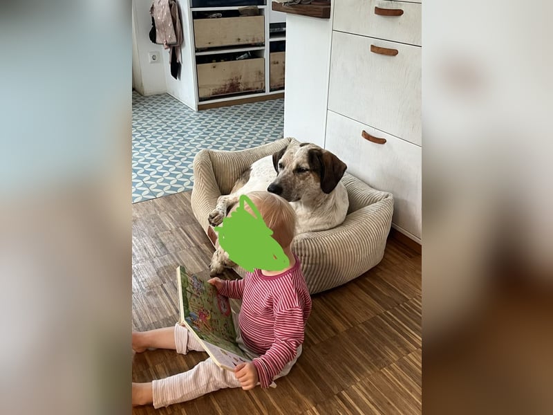 Pina sucht ihre Familie