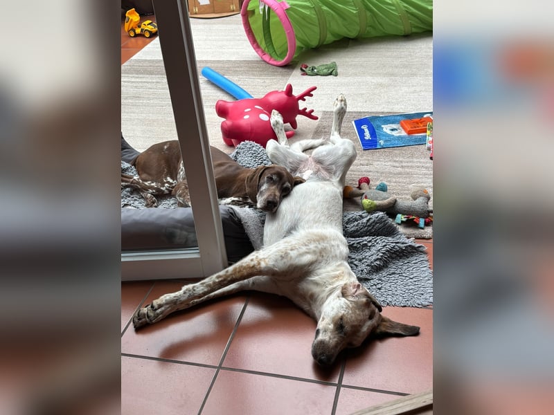 Pina sucht ihre Familie