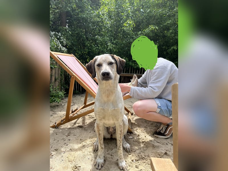 Pina sucht ihre Familie