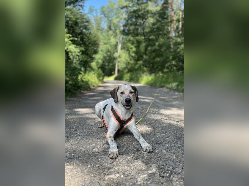 Pina sucht ihre Familie