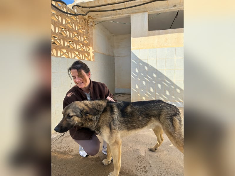 Goku - Volltreffer ins Herz