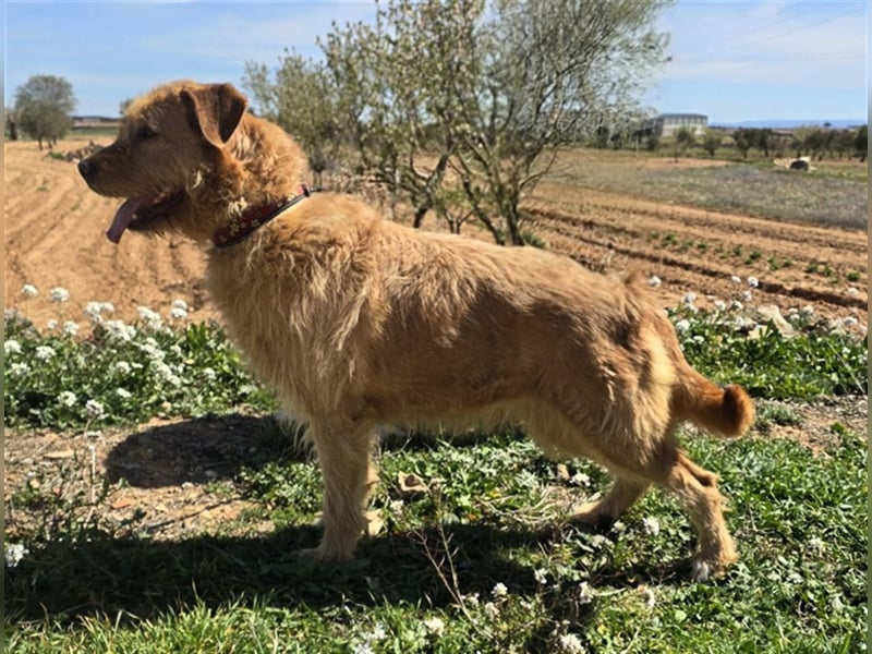 Sira – Sausewind im Teddypelz