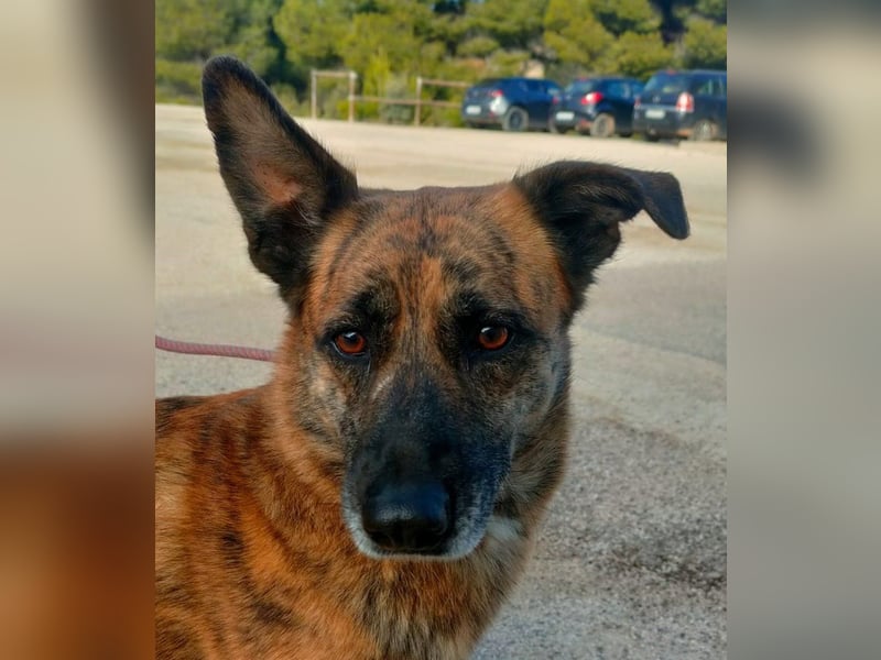 Iduna - die Uhr tickt ...