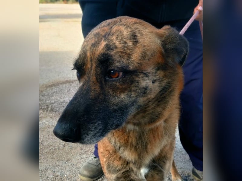 Iduna - die Uhr tickt ...